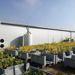 Vinofrukt as - přístavba skladu a zateplení stávající budovy 4